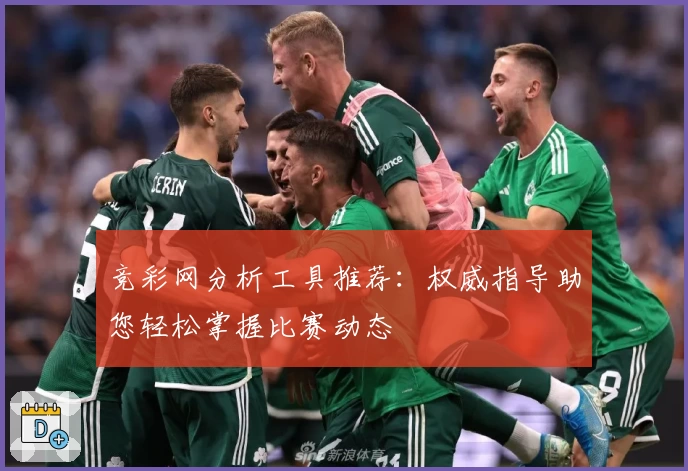 竞彩网分析工具推荐：权威指导助您轻松掌握比赛动态